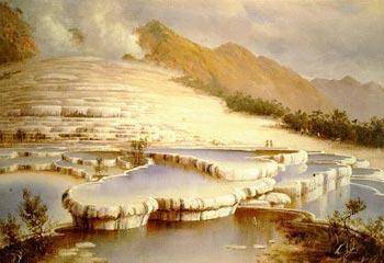 White_terraces_-_blomfield